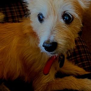 Meet your Posher, Jared